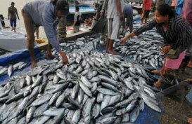 Bali Ekspor Tuna US$28,26 Juta Periode Januari-Mei 2014